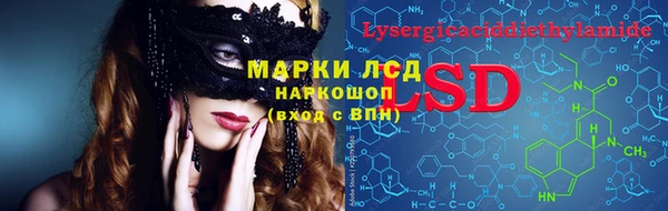 мяу мяу мука Дмитриев