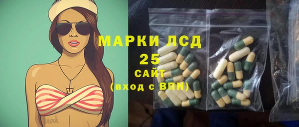 мяу мяу мука Дмитриев
