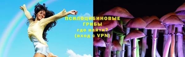 эйфоретик Дмитров