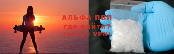 мяу мяу мука Дмитриев