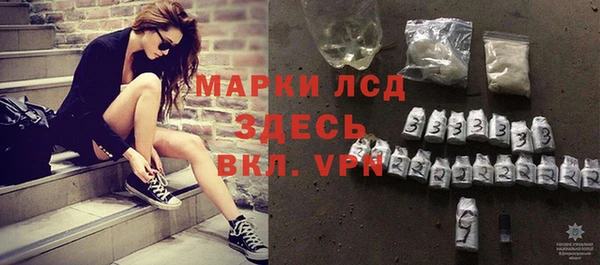 мяу мяу мука Дмитриев