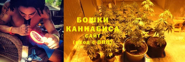 эйфоретик Дмитров