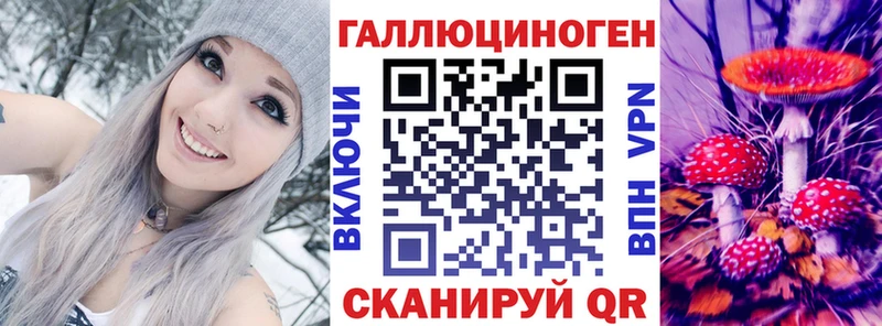 kraken маркетплейс  где можно купить наркотик  Сыктывкар  Псилоцибиновые грибы Psilocybe 